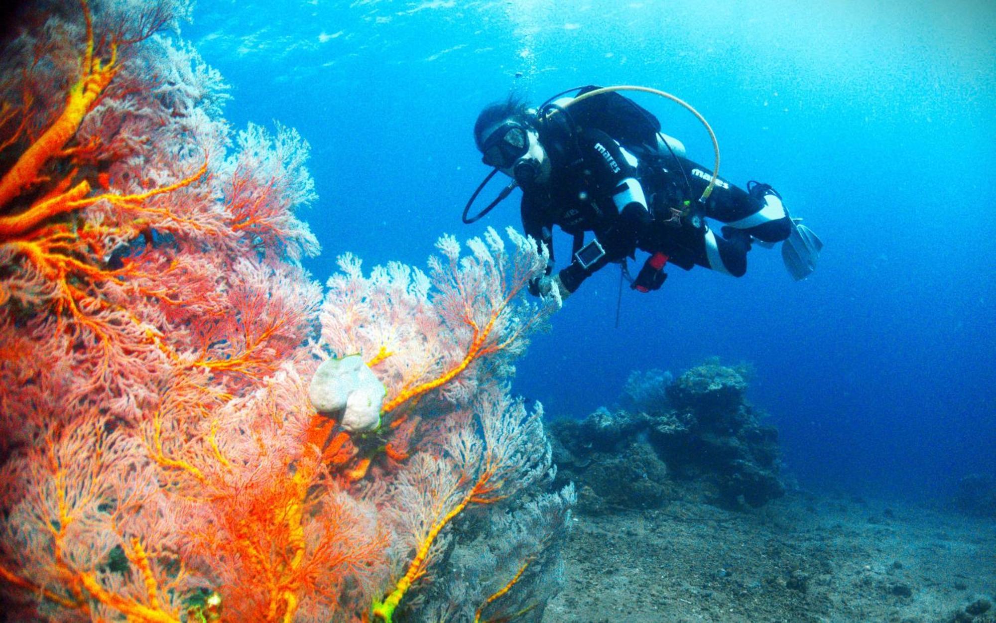 Kura Kura Divers Lodge Amed Kültér fotó